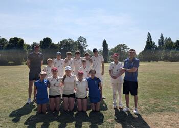 Cricket SJL